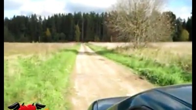 Нижняя сука