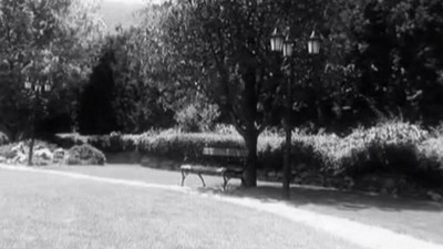 Негры и сучка